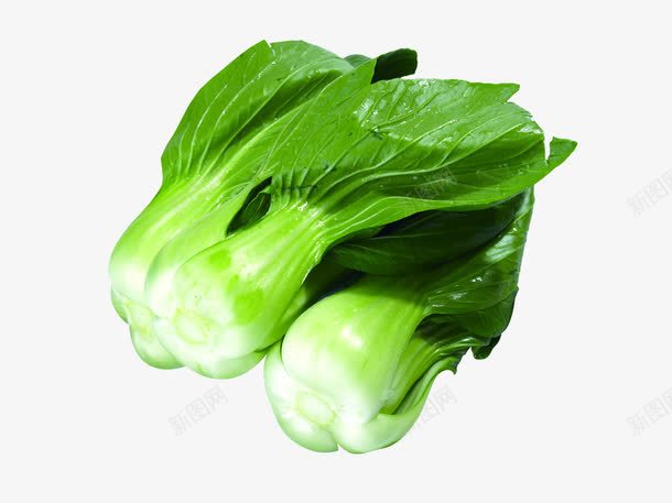 绿色蔬菜油菜png免抠素材_新图网 https://ixintu.com 绿色蔬菜 蔬菜素材