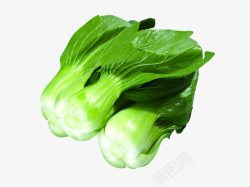 绿色蔬菜油菜素材