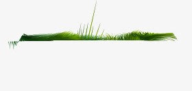 卡通绿草弧度直的png免抠素材_新图网 https://ixintu.com 卡通 弧度直的 绿草
