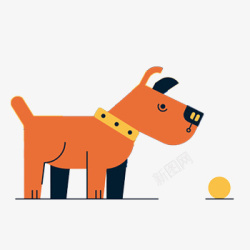 看着球的带着狗链的橙色狗狗素材