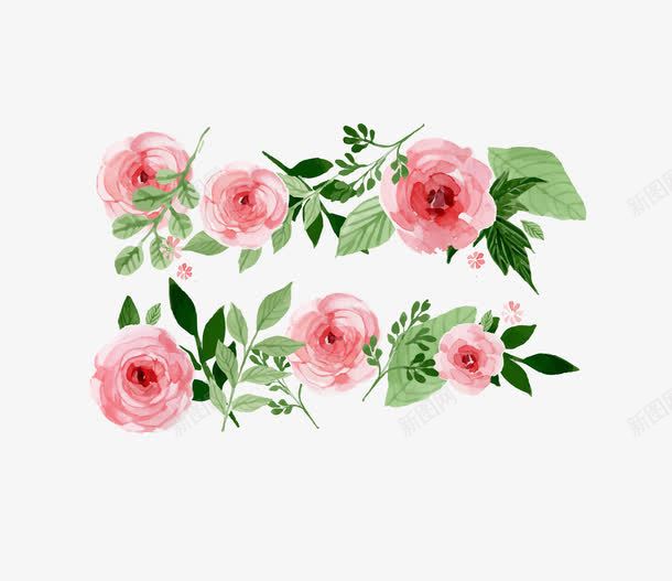 粉色玫瑰盛放装饰图案png免抠素材_新图网 https://ixintu.com 玫瑰盛放 玫瑰装饰图案 矢量玫瑰 粉色玫瑰