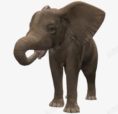 喝水的小象png免抠素材_新图网 https://ixintu.com 动物 可爱 喝水 小象