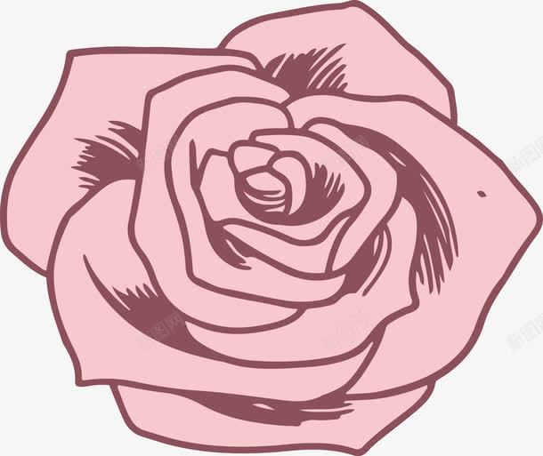 粉色玫瑰花png免抠素材_新图网 https://ixintu.com 玫瑰花 矢量玫瑰花 矢量花朵 粉色 花朵 香槟色玫瑰 香槟色玫瑰花 鲜花