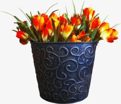花纹铁桶漂亮花束高清图片