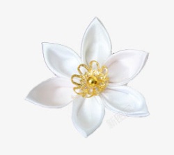 白色花黄色花蕊装饰素材