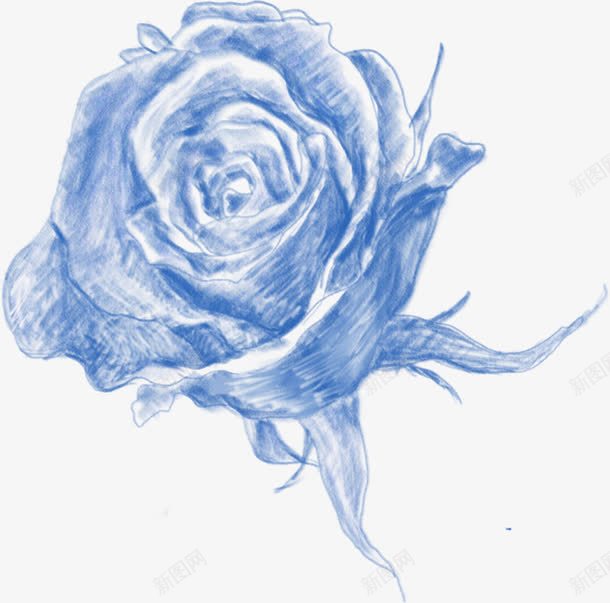 手绘蓝色水彩玫瑰花朵png免抠素材_新图网 https://ixintu.com 水彩 玫瑰 花朵 蓝色