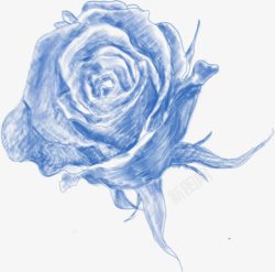 手绘蓝色水彩玫瑰花朵素材