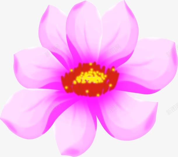 艳色粉色花卉海报png免抠素材_新图网 https://ixintu.com 海报 粉色 花卉