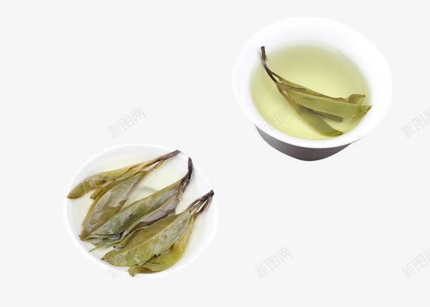 苦丁茶饮茶png免抠素材_新图网 https://ixintu.com 苦丁茶