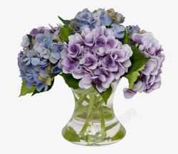 紫色蓝色台花素材