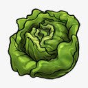 lettuce生菜水果蔬菜食品接下去的时间高清图片