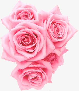 创意海报教师节花朵粉色png免抠素材_新图网 https://ixintu.com 创意 教师节 海报 粉色 花朵 设计