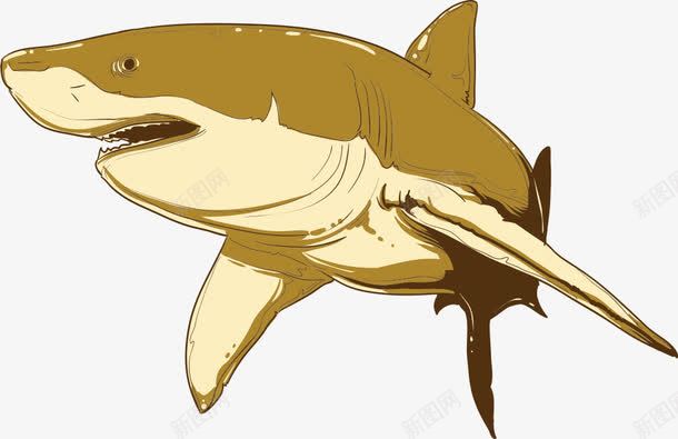 鲨鱼矢量图eps免抠素材_新图网 https://ixintu.com 动物 动物插画 卡通动物 矢量动物 鲨鱼 矢量图