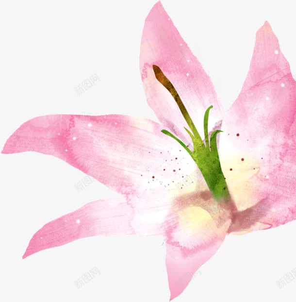 粉色水彩花朵手绘装饰png免抠素材_新图网 https://ixintu.com 水彩 粉色 花朵 装饰