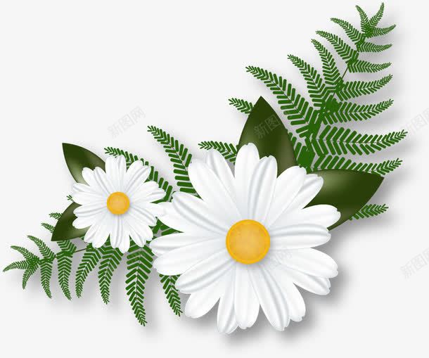摄影手绘女装海报白色花朵png免抠素材_新图网 https://ixintu.com 女装 摄影 海报 白色 花朵