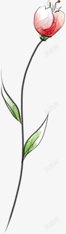 创意手绘合成水彩花卉植物png免抠素材_新图网 https://ixintu.com 创意 合成 植物 水彩 花卉