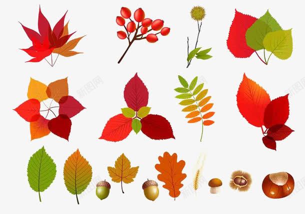 秋天树叶png免抠素材_新图网 https://ixintu.com 季节 树叶 装饰图案