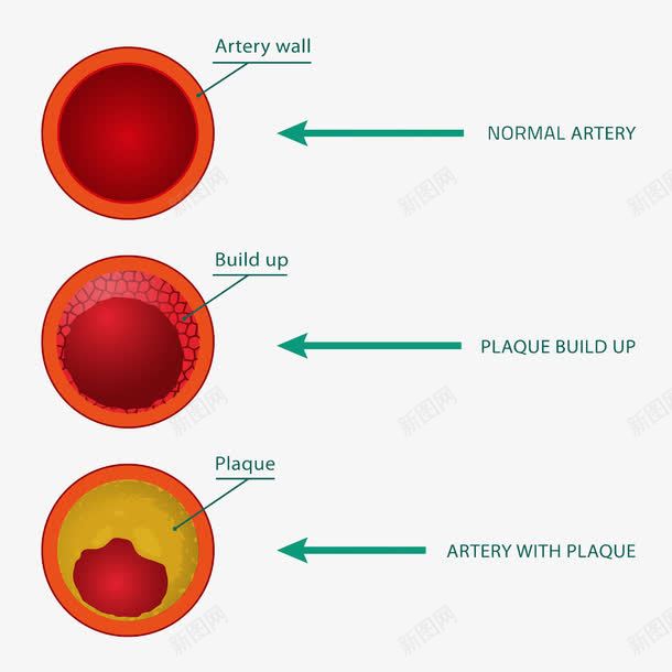 血液细胞png免抠素材_新图网 https://ixintu.com 医疗 细胞 血液