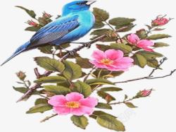粉花蓝色鸟素材