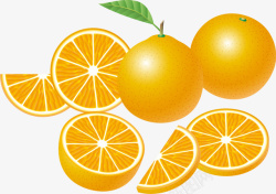 精美水果橙子矢量图素材