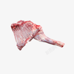 羊肉海报广告素材