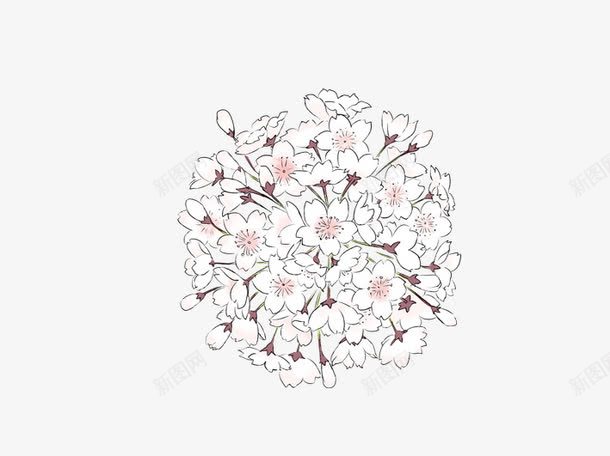 手绘白色花朵花球png免抠素材_新图网 https://ixintu.com 卡通花球 唯美 手绘 花卉 花球