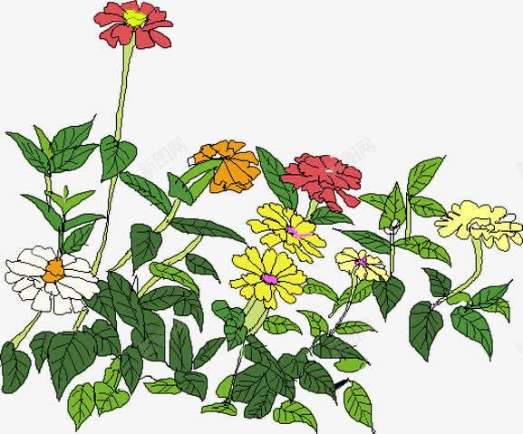 创意手绘合成花卉卡通植物png免抠素材_新图网 https://ixintu.com 创意 卡通 合成 植物 花卉