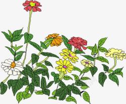 创意手绘合成花卉卡通植物素材