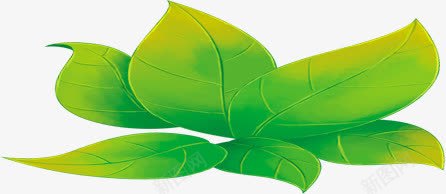 绿色手绘艺术树叶绘画png免抠素材_新图网 https://ixintu.com 树叶 绘画 绿色 艺术
