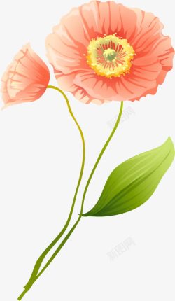创意海报涂鸦植物花朵素材
