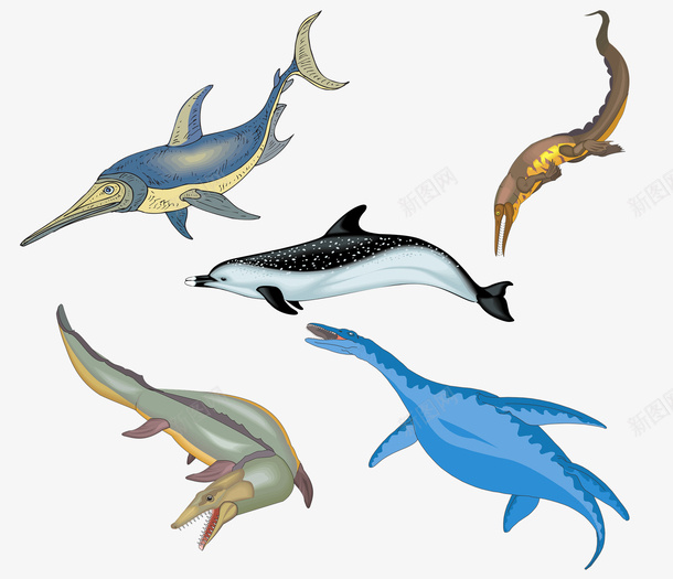 海洋生物深海动物png免抠素材_新图网 https://ixintu.com 动物 海洋 深海 生物