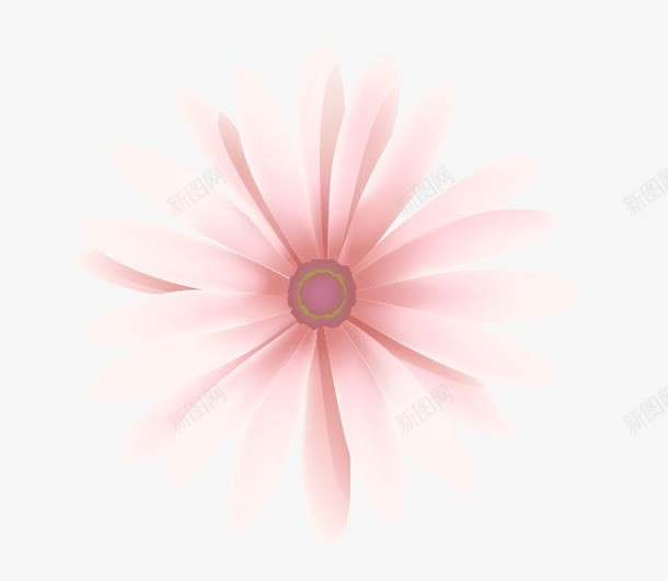 粉色太阳花png免抠素材_新图网 https://ixintu.com 卡通植物 卡通花 太阳花 手绘鲜花 粉色 花 鲜花