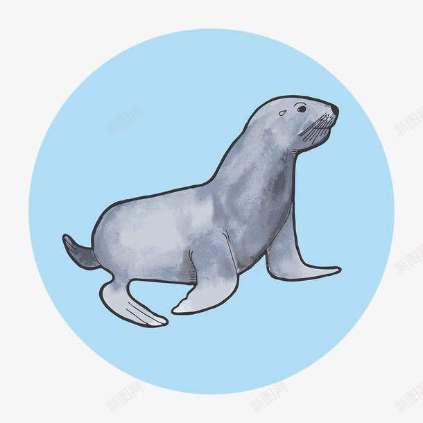 手绘海豹图案png免抠素材_新图网 https://ixintu.com 可爱的海豹 海豹 聪明的海豹