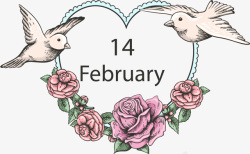 二月14情人节亲密白色鸽子高清图片