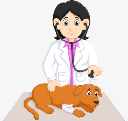 兽医看病兽医给动物治病高清图片
