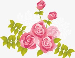 粉色玫瑰玫瑰花鲜花素材
