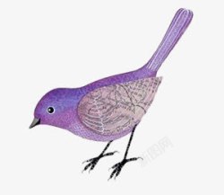 低头吃食手绘紫色低头的小麻雀高清图片