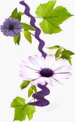 怒放的紫色花朵素材