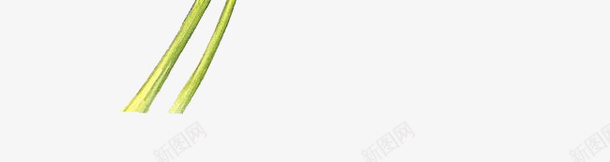 水彩红色蔷薇花图png免抠素材_新图网 https://ixintu.com 创意 卡通手绘 叶子 小清新 植物 水彩 绿叶 花卉 花朵 蔷薇花 鲜花
