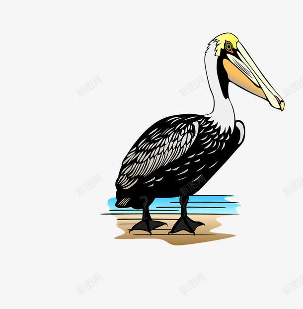 手绘的海鸟png免抠素材_新图网 https://ixintu.com 手绘 海鸟 海鸟卡通 黑色