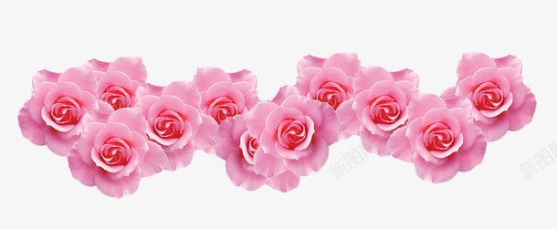 粉色玫瑰1png免抠素材_新图网 https://ixintu.com 植物 玫瑰 粉色玫瑰 花 花装饰