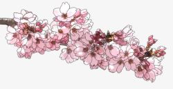 艺风手绘粉色花卉文艺风高清图片