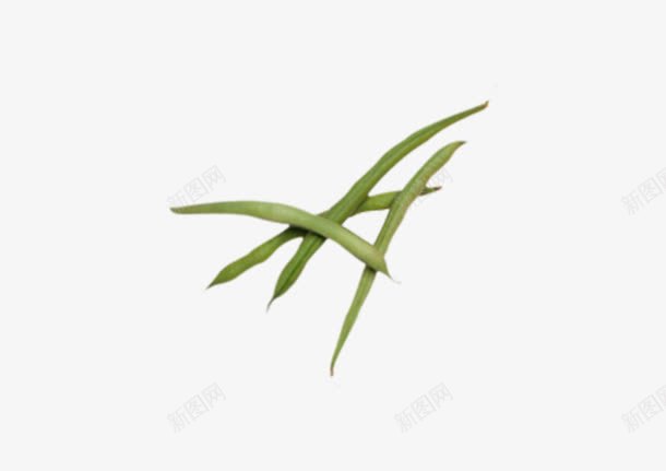 手绘豆角png免抠素材_新图网 https://ixintu.com 手绘 绿色 豆角 食材