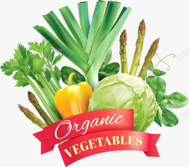 有机蔬菜png免抠素材_新图网 https://ixintu.com 有机 蔬菜