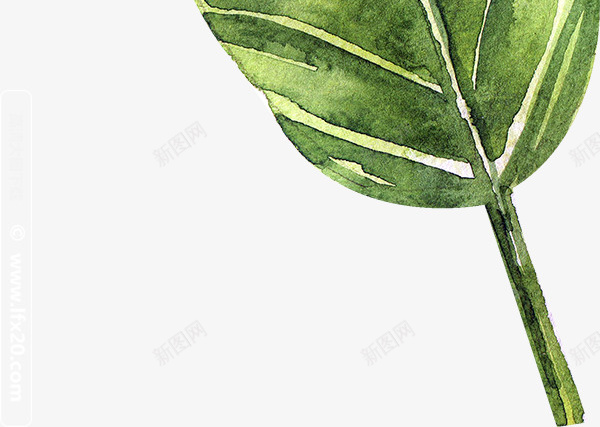 绿色手绘的树叶子png免抠素材_新图网 https://ixintu.com 叶子 手绘植物 手绘绿叶 树叶 植物 绿叶 绿植