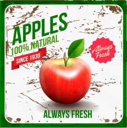质感水果适量苹果素材