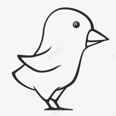 caligraphic推特鸟令图标图标