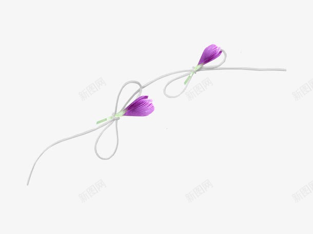 紫色小花苞png免抠素材_新图网 https://ixintu.com 紫色 线条 结 花 花苞