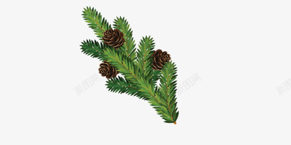 绿色圣诞节植物png免抠素材_新图网 https://ixintu.com 圣诞节 实物 植物 绿色 装饰