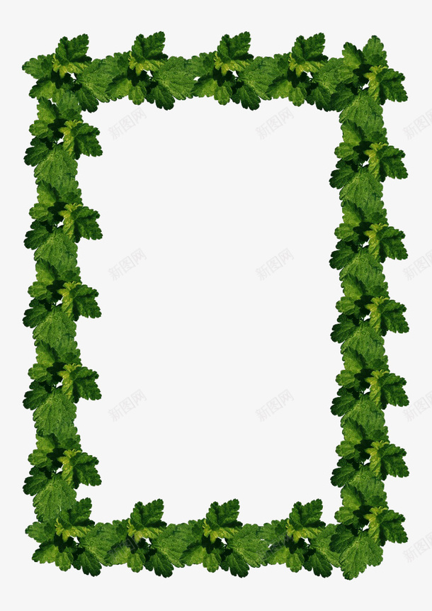 绿色叶子相框png免抠素材_新图网 https://ixintu.com 叶子 实物 植物 相框 绿色